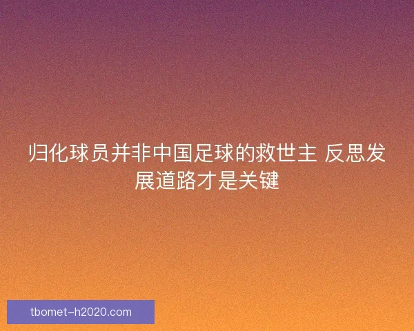 归化球员并非中国足球的救世主 反思发展道路才是关键