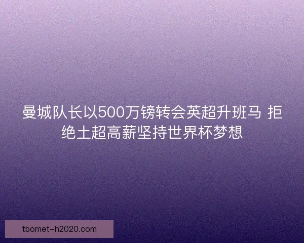 曼城队长以500万镑转会英超升班马 拒绝土超高薪坚持世界杯梦想