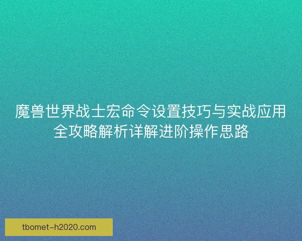 魔兽世界战士宏命令设置技巧与实战应用全攻略解析详解进阶操作思路